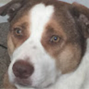 Meet your Posher, Teresa